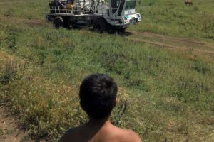 Scandal la Toboliu: Localnicii sunt nemulţumiţi pentru că utilajele NIS Petrol le-au distrus culturile (FOTO)