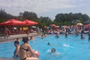 Gratis la Zoo şi Bazine