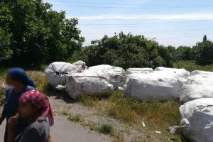 Ce au descoperit politistii locali pe strada Zefirului din municipiul Constanta. Au fost aplicate amenzi  