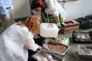 ALERTĂ pe litoral. Carne congelată, expirată în 2016, gătită turiştilor. OPC a închis mai multe unităţi alimentare  