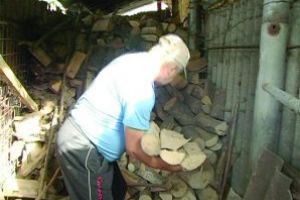 Consiliul Judeţean vinde… lemne