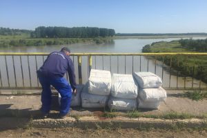 Echipe ale A.B.A Jiu – S.G.A Dolj  neutralizează unda de poluare de pe râul Jiu  – avarie colector transport ţitei  Brădeşti – Gherceşti