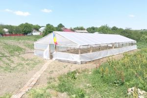 Sub egidă academică: Seră şcolară la Ivăneşti