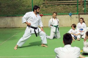 Karate pas cu pas
