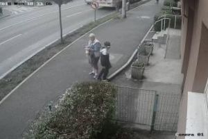 Cluj: Bunica îşi pune nepotul să fure plante ornamentale - VIDEO