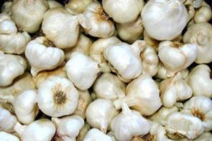 NU mânca usturoi dacă suferi de aceste afecţiuni