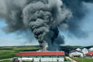 Bilanţul incendiului de la Căpuşu de Câmpie