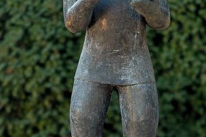 PROMEDĂ SPRE TRIUMF