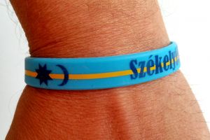 Aţi văzut vreun politician maghiar să poarte o astfel de brăţară ?