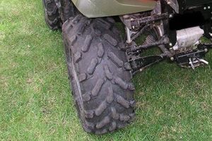 Cu ATV-ul la plimbare prin parc, la Timisoara