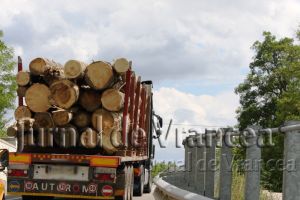 Sute de metri cubi de material lemnos, confiscate de poliţişti în numai 3 zile