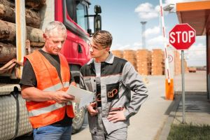 Percheziţii DIICOT la cel mai mare exportator de lemn