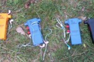 Elevii de la un liceu din Sfântu Gheorghe, la „vânătoare de vulpi”