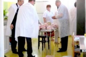 Controale vigilente ale inspectorilor DSVSA