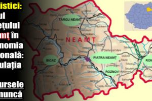 Statistici: Locul judeţului Neamţ în economia naţională: Populaţia şi Resursele de muncă