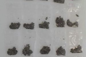 FOTO, VIDEO. Percheziţii la persoane din Alba, bănuite de trafic de produse cu efecte psihoactive: Trei bărbaţi au fost reţinuţi