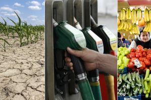 UN VAL DE SCUMPIRI LA ALIMENTE!