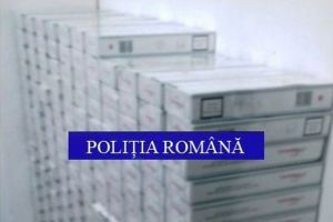 Poliţia în acţiune