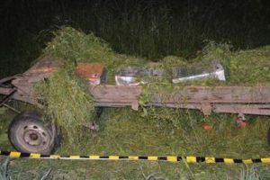 Contrabandă cu ţigări în Ritm de căruţă 