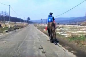 ACCIDENT la Zlatna: Un bărbat a lovit cu maşina un cal călărit de un minor şi a părăsit locul accidentului. Animalul a murit, iar copilul a ajuns la spital cu leziuni uşoare