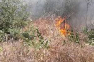 Video: Un incediu a izbucnit in apropierea fostului abator Caruz