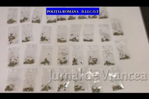 VIDEO: Percheziţii la persoane bănuite de trafic de droguri