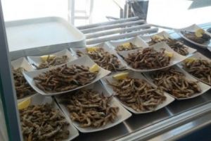 CONTROALE peste CONTROALE, în minivacanţa de 1 Iunie, PE LITORAL