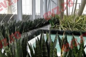 FERIȚI-VĂ de ofertele de NEREFUZAT! Ultima ţeapă care circulă pe internet poate ascunde un virus