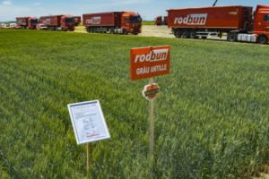 Premieră pe piaţa agricolă românească: monitorizarea culturilor prin satelit