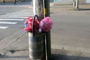 Contractul de delegare a gestiunii Serviciului de salubrizare a judetului Maramures a fost castigat de SC Drusal SA