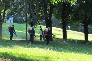 A treia etapă de dezinsecţie pe domeniul public, în perioada 04.06-18.06.2018