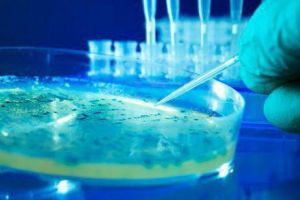 Tratamentul non-interferon pentru Hepatita C, întârziat cu o lună