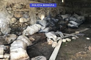 IPJ: Fapte de natură penală în ceea ce priveşte protecţia mediului. Ce sancţiuni au dat poliţiştii