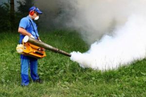 Cand incepe DEZINSECTIA in Ploiesti. Anuntul Coral