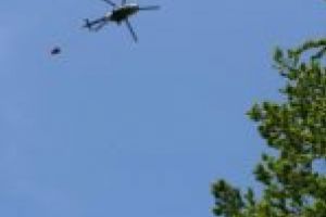 Arde din nou Parcul Naţional Domogled-Valea Cernei!