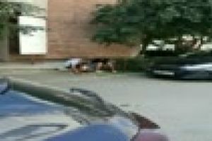 Tineri afectaţi de ”căldură”: Stăteau inerţi. Am crezut că au murit - VIDEO