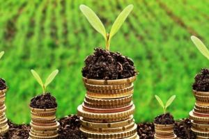 La UMF Târgu-Mureş se va înfiinţa o bancă de seminţe