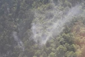 Incendiu de proporţii în Parcul Naţional Domogled. E a doua oară când versantul ia foc, anul acesta