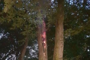 FOTO Furtuni violente în ţară. Copac lovit de fulger la Mediaş