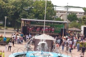 Floare de castan, la a XIII-a ediţie