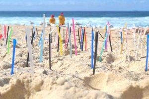 Plajă fără paie din plastic