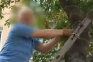 Un bărbat a BLINDAT un cireş cu sârmă ghimpată. Ce s-a întâmplat cu INDIVIDUL a pus viaţa în PERICOL copiilor 