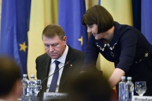 „Codruţa, go home!”