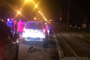 Revoltător! Şoferul unui bolid, filmat în timp ce târa cu maşina un câine prin Oradea (FOTO / VIDEO)