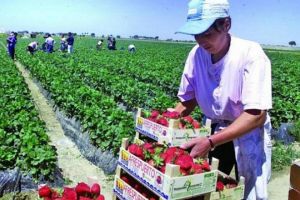 Italia anunţă măsuri drastice împotriva imigranţilor: “Faceţi-vă bagajele”