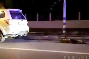 Șoferul prins în timp ce târa un câine legat de maşină s-a ales cu dosar penal: E un orădean de 49 de ani (VIDEO)