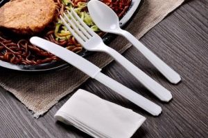 PAIELE ȘI TACÂMURILE DIN PLASTIC AR PUTEA  FI INTERZISE ÎN TOATE ȚĂRILE UE