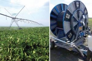 După 15 ani, culturile din zona Drăgăneşti au fost irigate prin programul 