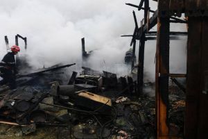 Pagube mari, păsări şi capre moarte, după un incendiu provocat de un trăsnet
