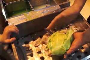 Varza din plastic (VIDEO)